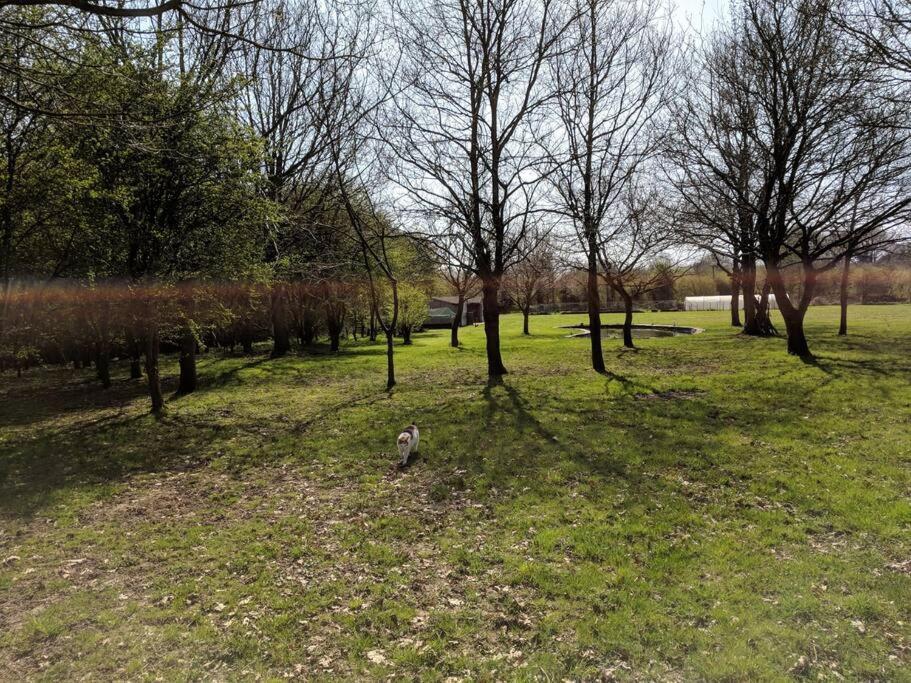 In The Countryside Дом отдыха Sible Hedingham