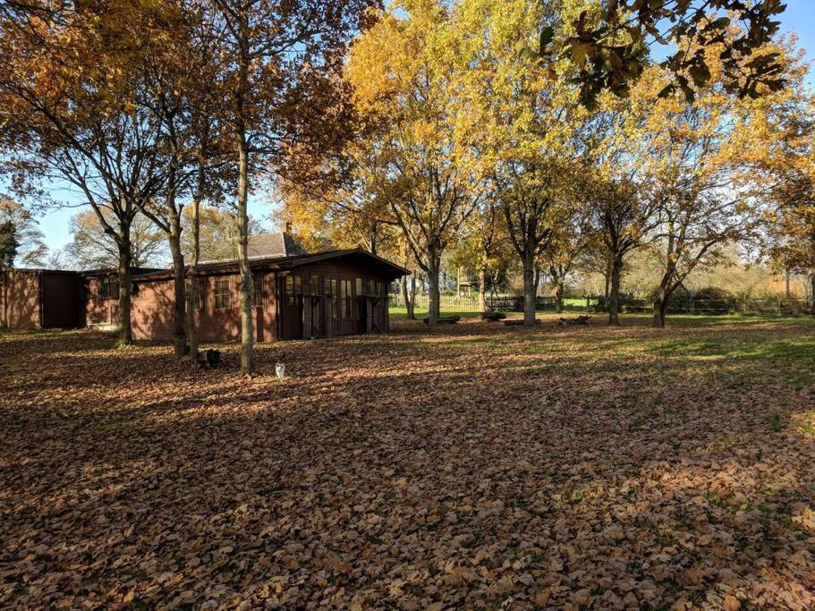 Holiday home In The Countryside *