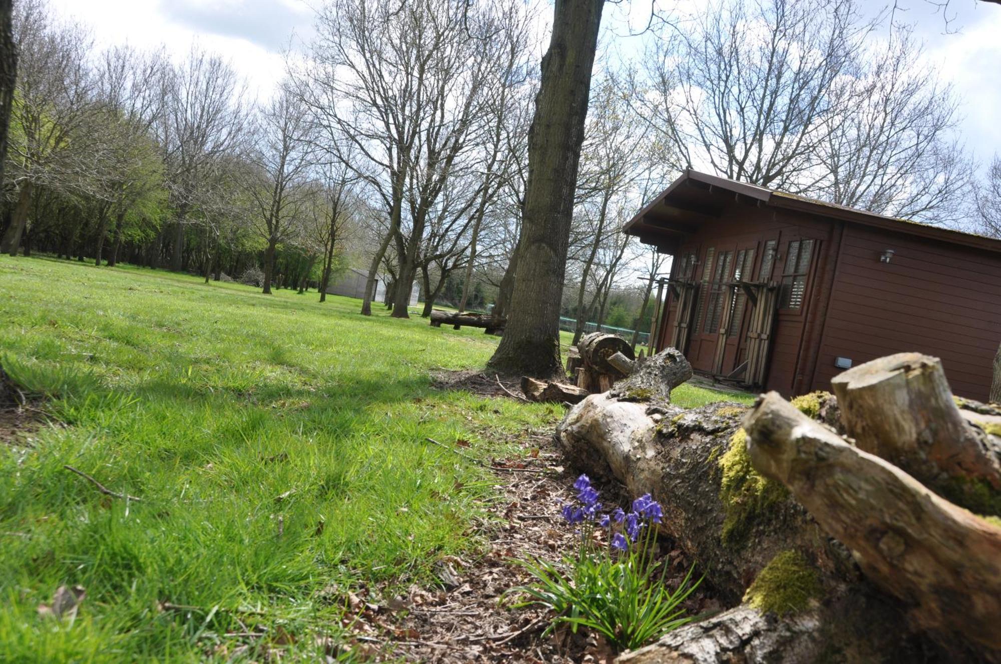 In The Countryside * Sible Hedingham