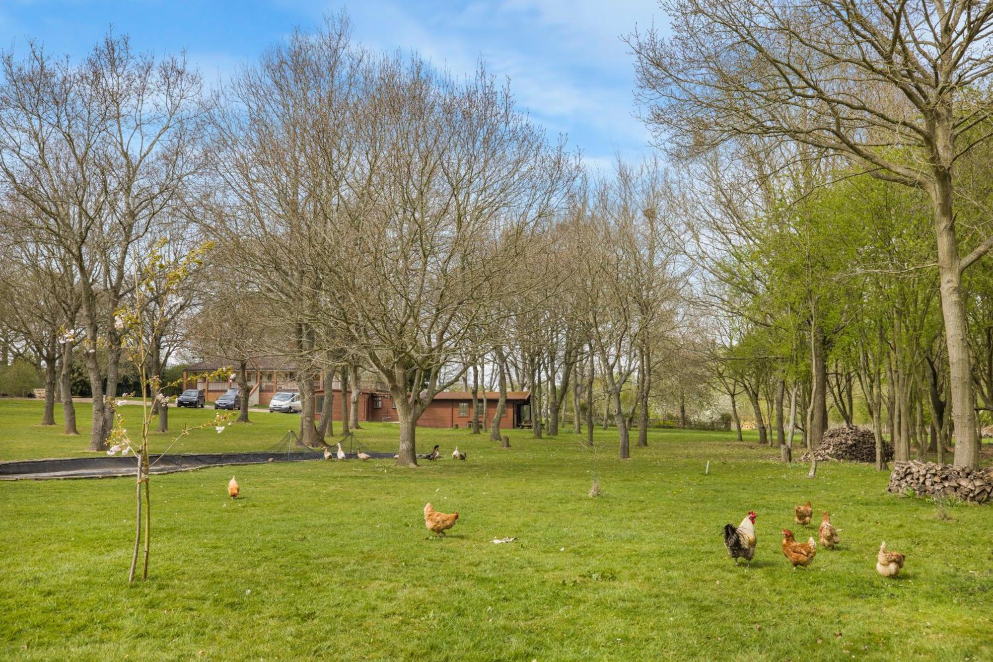 In The Countryside
